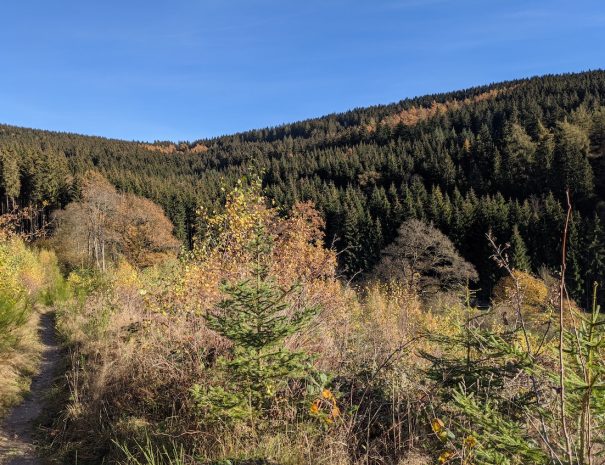fewo_schmallenberg_reel10