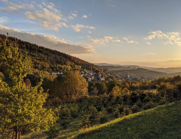 fewo_schmallenberg_reel3