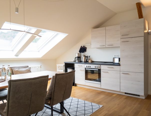 FeWo_gold_und_gruen_kueche